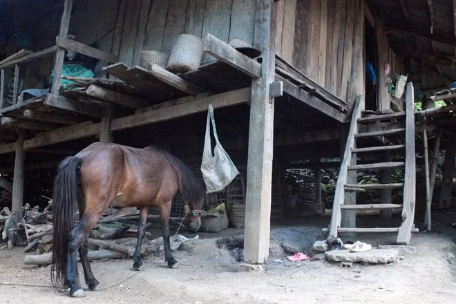 Nằm cách trung tâm huyện Quỳnh Nhai gần 7 km nên người vào bản phải đi thuyền máy qua hồ thủy điện Sơn La, từ bến đò cuối đi tiếp bằng xe máy. Căn nhà sàn cũ kỹ của ông Lò Văn Pe (77 tuổi, cha ruột chị Phương) ở lưng chừng núi, cách bến đò cuối 3 km. Phía trước giáp hồ thủy điện, sau là cánh rừng.