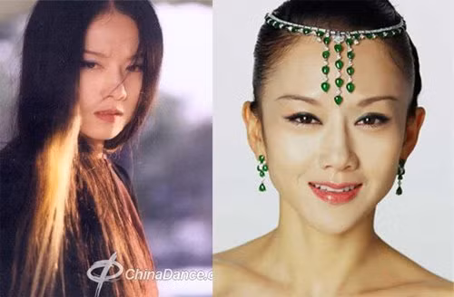 Nữ nghệ sĩ Dương Lệ Bình là một mỹ nhân nổi tiếng của Trung Quốc. Cô cùng Phạm Băng Băng, Trương Tử Lâm, Chương Tử Di, Châu Tấn là 5 Hoa đán được chọn đại diện cho sắc đẹp Trung Quốc tại quảng trường Thời Đại vào năm 2011. Năm nay đã 57 tuổi nhưng Dương Lệ Bình vẫn giữ được nhan sắc tươi trẻ như thiếu nữ. Gương mặt không nếp nhăn, đường nét thanh tú, thân hình mảnh mai và thần thái an nhiên của mỹ nữ họ Dương khiến cô được mệnh danh là "người đẹp bất lão" .