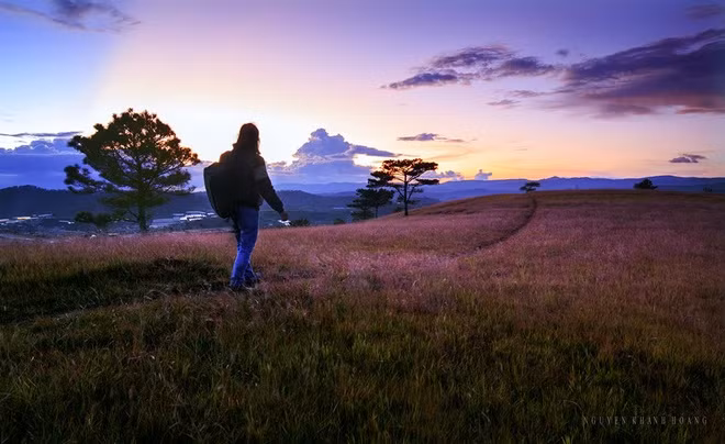 Đây là nơi lý tưởng cho bạn thực hiện một bộ ảnh mang màu sắc lãng mạn, cổ tích.