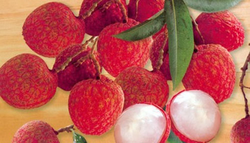 Vải là loại quả ưa thích của Dương Quý phi.