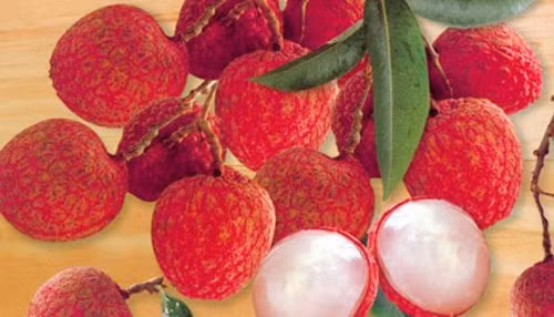 Vải là loại quả ưa thích của Dương Quý phi.