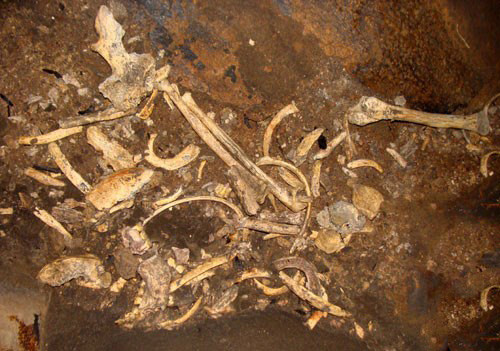 Nhung bi an xuyen the ky trong lich su Viet Nam-Hinh-3