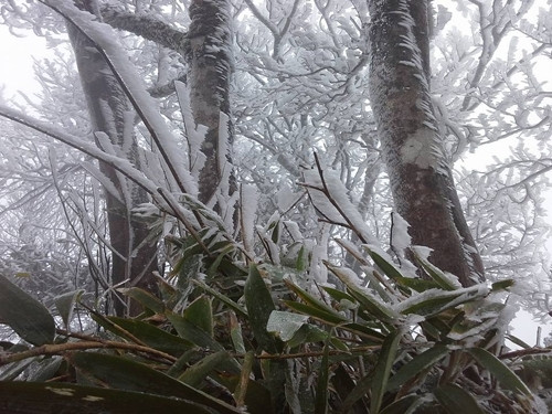 Băng tuyết xuất hiện tại Phia Oắc. (Cao Bằng).