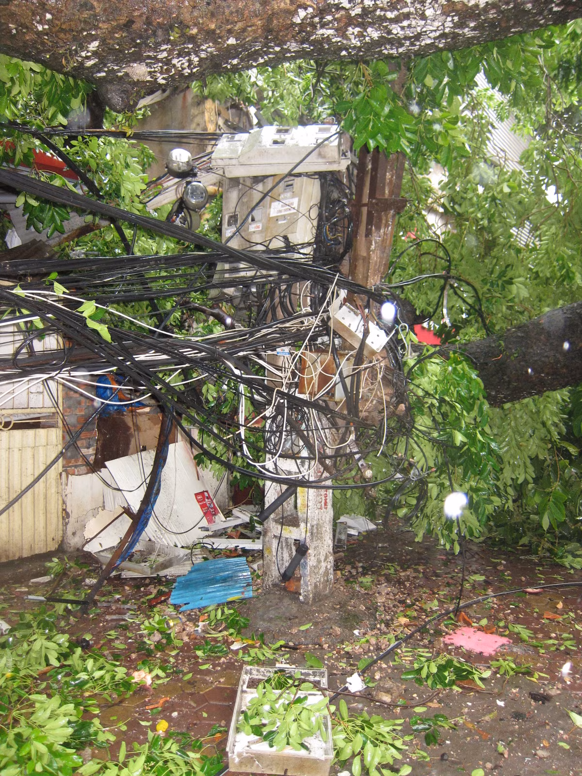 Thong cao bao chi anh huong cua con bao so 1