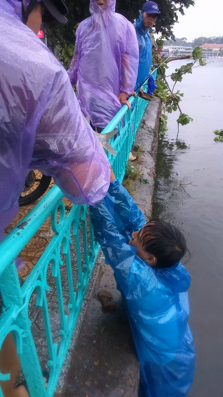 Xuống thì dễ nhưng lên lại là một vấn đề.