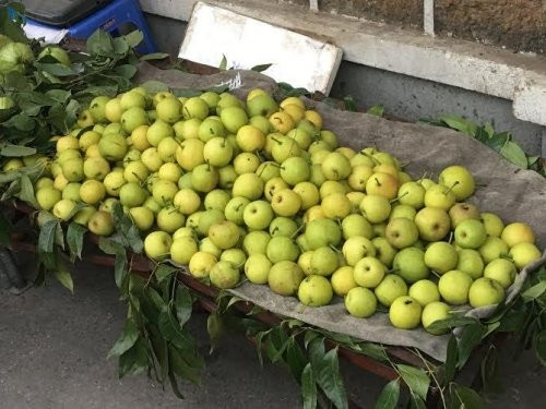 3. Lê siêu ngọt Với vỏ ngoài màu xanh nhẵn bóng, quả nhỏ bằng 1/5 lê vàng Trung Quốc, loại lê lạ siêu ngọt đang được bày bán la liệt tại vỉa hè Hà Nội với giá chỉ từ 30.000-40.000 đồng/kg đang rất hút khách mua. Lê siêu ngọt này có thịt màu trắng, ăn có vị ngọt mát, nhiều nước, được người bán hàng quảng cáo là lê rừng siêu ngọt ở Lào Cai.