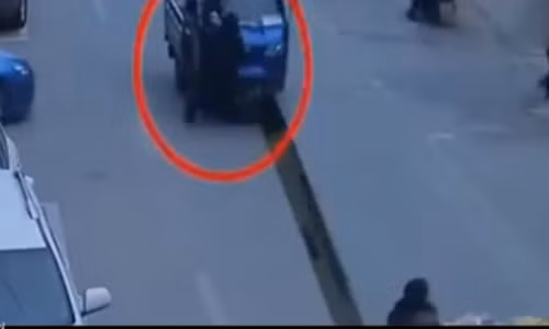 Ảnh cắt từ clip.