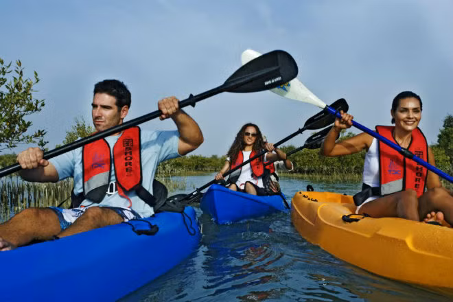 Chèo thuyền kayak giữa rừng đước: Bờ biển của Abu Dhabi có các rừng đước và nhiều loài chim thú vị, rất hợp để du khách khám phá bằng thuyền kayak.