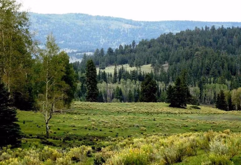 Khung cảnh núi non tuyệt đẹp nhìn từ ban công của ngôi nhà.