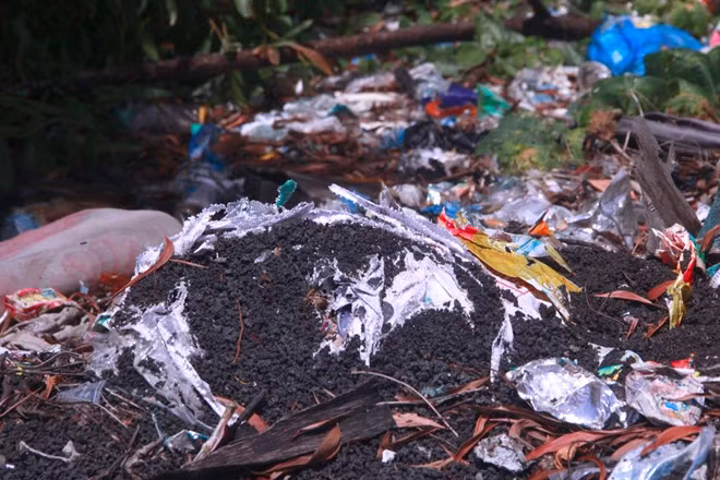 Chất thải có màu đen được đổ rải rác tại bãi rác Thiên Cầm. Ảnh: Xuân Đức.