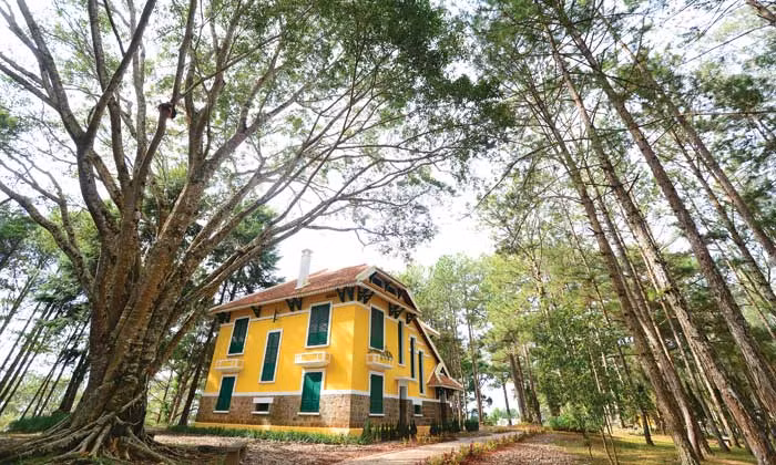 Biệt thự Đà Lạt thường gắn liền với một khoảng xanh, đường nét kiến trúc được thiết kế đa dạng mang chủ ý kết hợp hài hòa với cảnh quan môi trường.