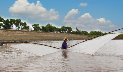 Hàng năm, khi mùa gió chướng lồng lộng thổi cùng những con sóng dữ tạm rời xa nhường chỗ cho mùa gió Nam, cũng là lúc nhiều người dân ven biển Tân Điền (huyện Gò Công Đông, tỉnh Tiền Giang) bước vào mùa đẩy ruốc. Công việc đẩy ruốc là nghề tay trái của nhiều người dân nơi đây, được diễn ra mỗi khi thủy triều xuống. Lúc này, những người làm nghề này sẽ họp lại thành một nhóm khoảng 10 người mang vác dụng cụ xuống biển để đẩy ruốc. Ruốc ở đây khi được bắt lên vẫn còn tươi sống, thế nên có giá trị cao hơn hẳn so với ruốc ở đáy sông Cầu.