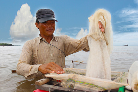 Trút ruốc vừa đẩy được vào thùng chứa. Đẩy ruốc là một công việc đầy nặng nhọc do phải trầm mình dưới biển hàng giờ đồng hồ.