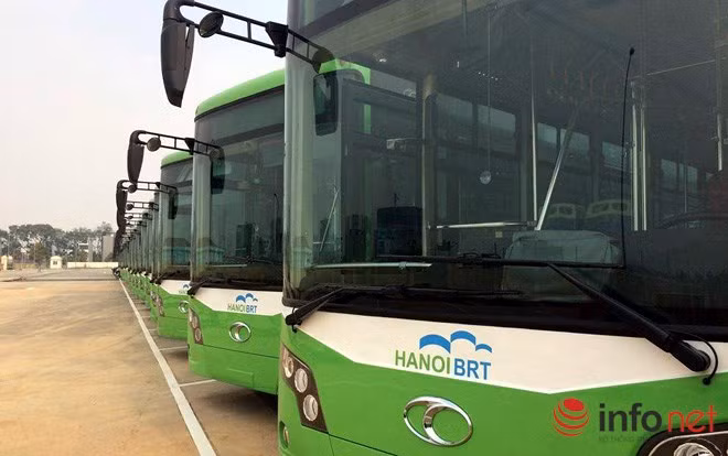 Những chiếc xe buýt tạo cảm giác thân thiện với mọi người.