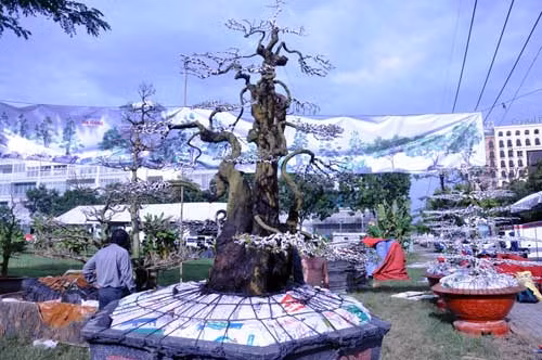 Theo nghệ nhân Ba Hùng, cặp khế hơn 300 năm tuổi được ông định giá bán 12 tỷ và 15 tỷ và tăng hơn nhiều so với giá đưa ra năm 2015. “Mức giá này tôi biết khá cao, chỉ có những vị doanh nhân, doanh nghiệp giàu có mới có thể sở hữu được. Nếu bán được mức giá 12 tỷ tôi sẽ trích 2 tỷ đồng làm từ thiện. Còn nếu bán với giá 15 tỷ, tôi cũng sẽ trích 3 tỷ đồng giúp đỡ nguời nghèo, có hoàn cảnh khó khăn”, ông Hùng nói.