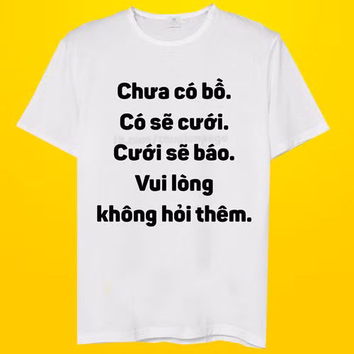 Áo phông ngày Tết dành cho gái "ế". (ảnh minh họa)