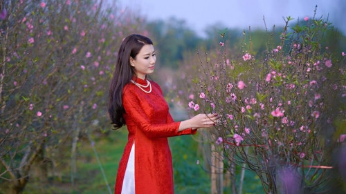 Tết trong ký ức Minh Hương là: “Tết là khoảng thời gian gia đình sum họp. Với mình điều đó cũng không ngoại lệ. Gia đình mình khá bận rộn nên mỗi khi Tết đến mọi người mới có thời gian quây quần, chuẩn bị với nhau. Kỷ niệm mình sẽ không bao giờ quên là khi mọi người cùng nhau trang trí cây đào, cây mai. Sum họp chuẩn bị cho đêm 30 và không khí háo hức khi tiếng pháo hoa vào lúc 00:00 cất tiếng nổ báo hiệu một năm mới đã đến”.