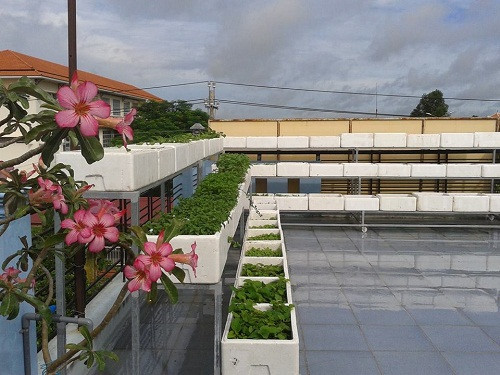 Góc vườn trên sân thượng của gia đình chị Thảo được thiết kế gọn gàng và hợp lí.