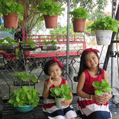 Hơn 1 năm trồng rau sạch, khu vườn trên sân thượng của gia đình chị Thanh Thảo (thị trấn Thủ Thừa- Long An) hội tụ đầy đủ các loại rau thông dụng như: rau cải, rau muống, tần ô, rau dền, mồng tơi và các loại rau gia vị,... Bên cạnh đó, chị trồng thêm quả xen canh như: đậu bắp, dưa gang, đậu rồng, cà chua.