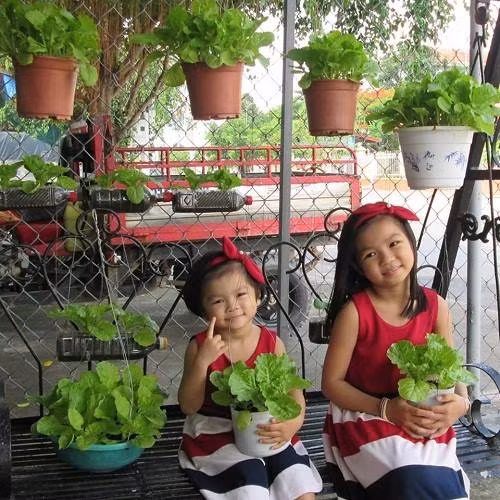 Vuon rau xanh muot nuoi du ca nha cua ba me 2 con