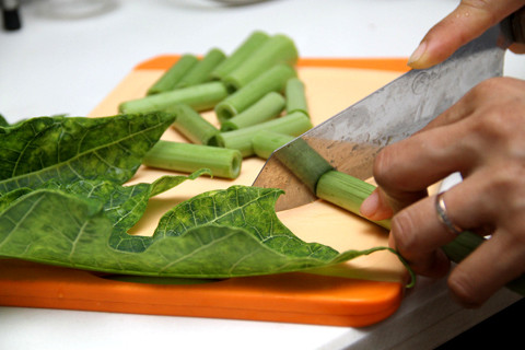 Lợi ích từ cây đu đủ. Phòng bệnh ung thư. Acerogenin có trong nước ép lá đu đủ có thể được dùng để phòng ngừa rất nhiều bệnh nguy hiểm, bao gồm có sốt rét, sốt xuất huyết, ung thư. 