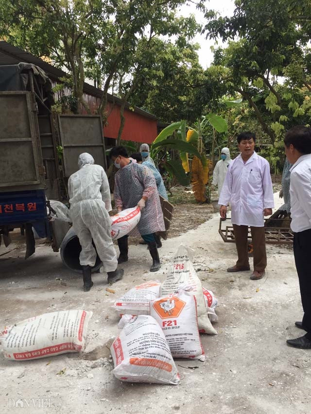 Dich ta lon chau Phi da lan sang tinh thu 10 tai Thai Nguyen