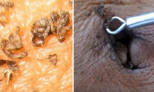 Ai cung soc neu biet su that cho ban nhat tren co the