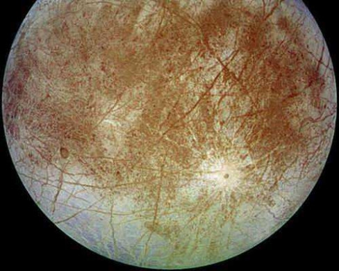 Các nhà khoa học từ lâu vẫn tin rằng, bên dưới lớp vỏ ngoài cùng rất trẻ và mịn của Europa có thể là một đại dương. Đồng thời người ta cũng cho rằng, trong đại dương này có thể tồn tại sự sống ngoài Trái đất mà chúng ta đang tìm kiếm. Cho đến nay, con người mới chỉ tiếp cận được Europa bằng những tàu vũ trụ bay ngang qua bề mặt vệ tinh này, song những đặc điểm rất đáng chú ý của Europa khiến nó trở thành một trong những thiên thể có khả năng tồn tại sự sống cao nhất trong Hệ Mặt trời. Và trong tương lai, Europa có thể sẽ trở thành đích đến của nhiều dự án vũ trụ mới của con người.