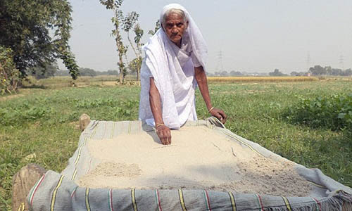 Đôi lúc, cụ ăn chính những bức tường nhà mình.