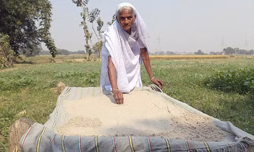 Đôi lúc, cụ ăn chính những bức tường nhà mình.