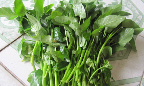 Ảnh minh họa. I.T