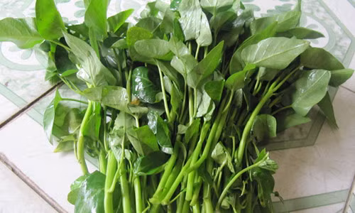 Ảnh minh họa. I.T