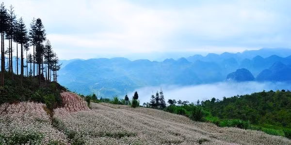 Lặng yên dưới vực sâu Thiên nhiên miền núi hùng vĩ miền Bắc luôn là mảnh đất gợi nhiều cảm hứng với các đạo diễn làm phim, nhưng để làm phim hay, cho ra "chất" miền sơn cước thì lại chẳng hề dễ dàng. Tuy nhiên, cao nguyên đá Đồng Văn lại được lột tả hết vẻ đẹp dưới bàn tay của đạo diễn Đào Duy Phúc cùng ekip “Lặng yên dưới vực sâu”.