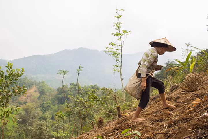 Alfredo ấn tượng với việc bữa cơm được chuẩn bị từ chính khu vườn của gia đình: “Thức ăn được lấy ngay từ trong khu vườn. Đồng hồ báo thức là tiếng gáy của những chú gà”.