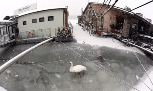 Song sot than ky duoi gieng sau trong nhiet do -20 do C