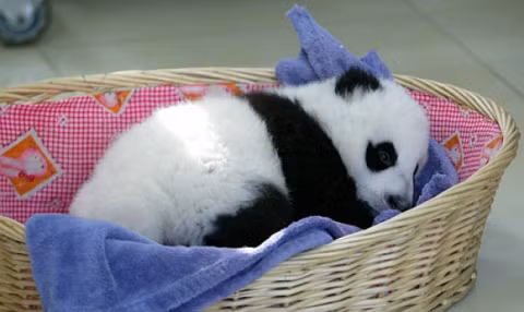 Đã tìm ra công việc có thể khiến bạn hạnh phúc mỗi ngày Da tim ra cong viec co the khien ban hanh phuc moi ngay