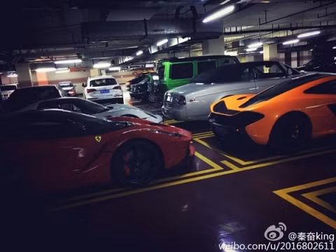 Một vài chiếc xe trong bộ sưu tập của anh chàng, được biết Tần Phấn đã sở hữu một chiếc Ferrari cho riêng mình từ khi học cấp 3. 