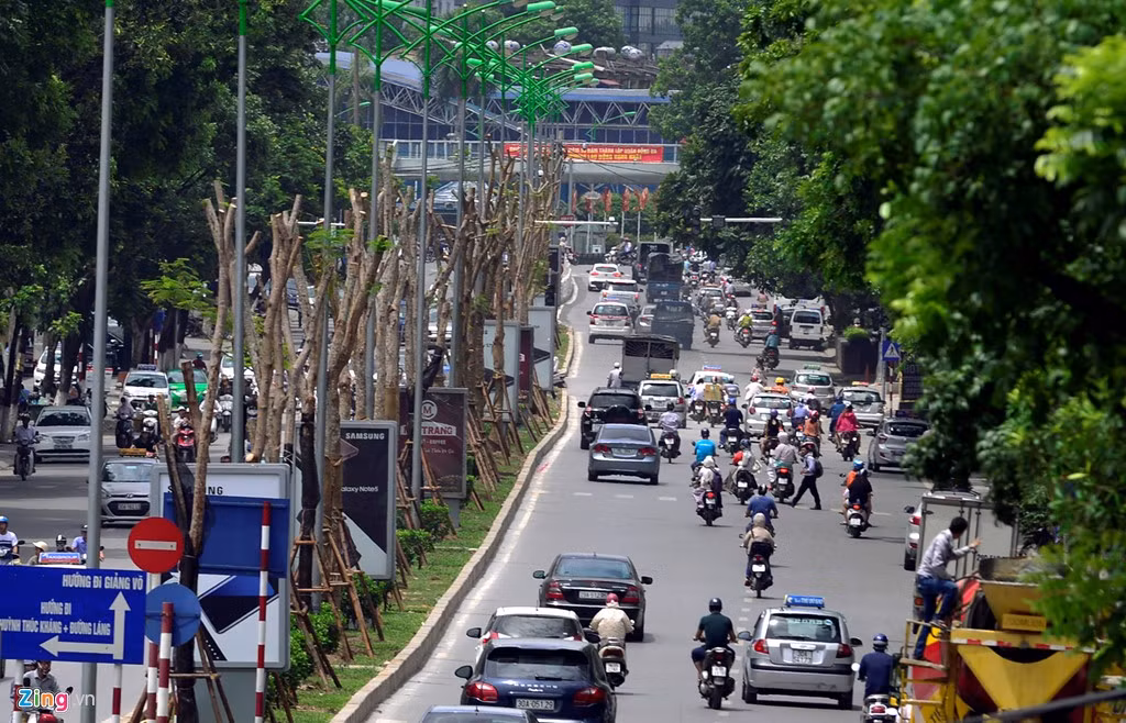 Trên tuyến đường Láng Hạ, khoảng 3 m lại có một gốc cây mới.