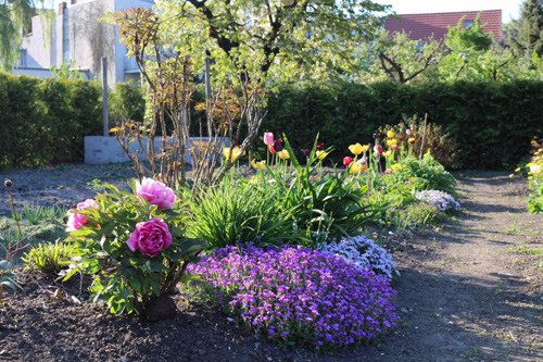 Với chị, ngắm những cánh hoa khoe sắc luôn mang lại một cảm giác an bình, thấy cuộc sống chững lại và con người cũng nhẹ nhõm hơn.