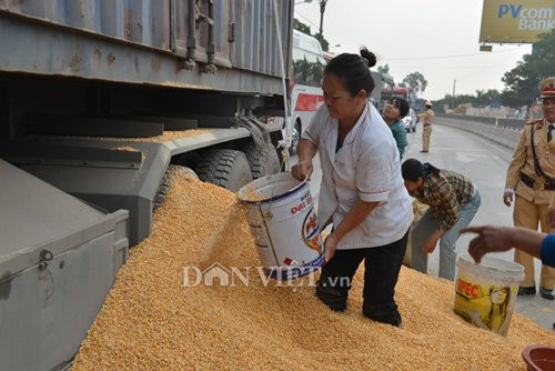 Người dân đổ ra đường gom ngô giúp lái xe gặp sự cố.
