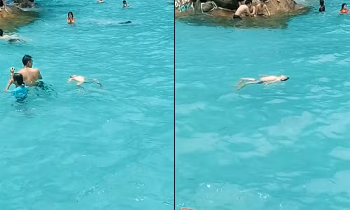 Tre duoi nuoc trong be boi dong nguoi, cho tho o