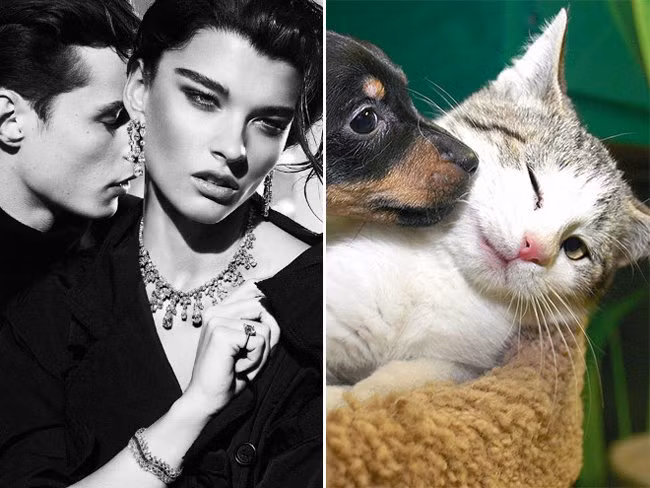 Từ từ nào anh, người ta đang "nhại" lại mình kìa.