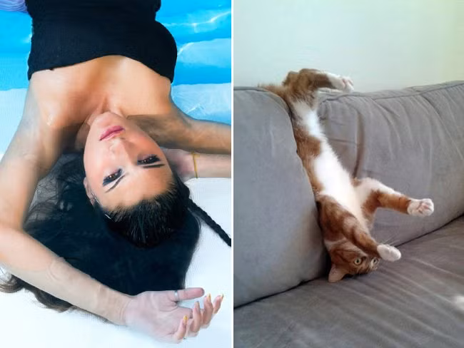 Ăn cắp cả kiểu tập thể dục của tôi luôn cơ đấy.