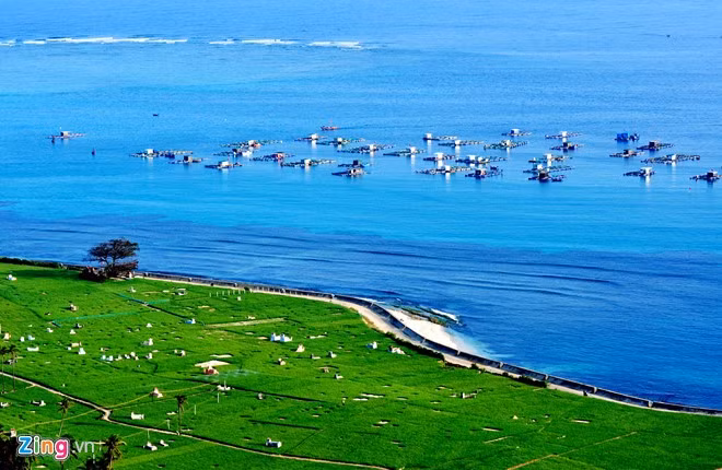 Hot bac ty nho nuoi tom hum, ca mu o dao Ly Son