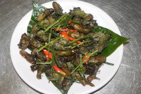 Một số món ăn chế biến từ côn trùng: