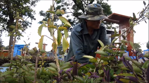Anh Nguyễn Văn Thạo đang chăm sóc lại cây cảnh tại phần mộ nhận tu sửa.