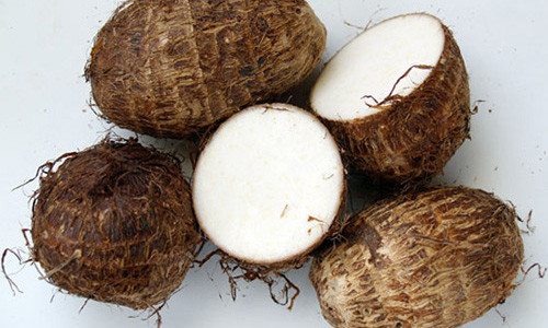 Meo got khoai so khong bi ngua ban nen biet