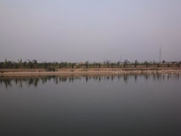 Một góc trang trại rộng 3ha của Đỗ Mạnh Hùng.