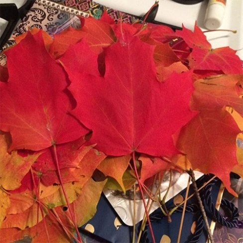 Tuần trước, chàng trai 27 tuổi đến từ Massachusetts (Mỹ) tên Kyle Waring đã cho ra đời một dịch vụ khá kì lạ: bán lá rụng mùa thu.