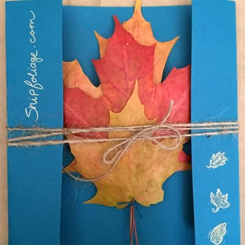 Mỗi gói sản phẩm do Kyle cung cấp sẽ gồm 3 chiếc lá cây mùa thu với 3 màu khác nhau là vàng - đỏ - xanh hoặc tùy chọn.